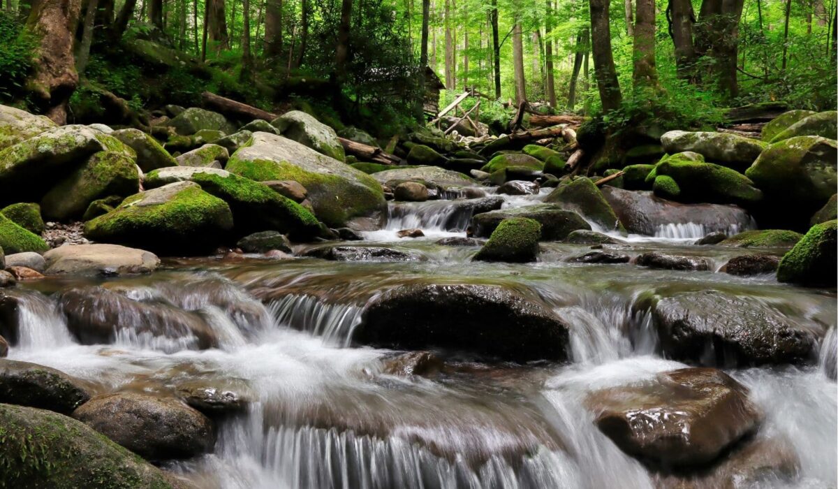 great smoky mountains