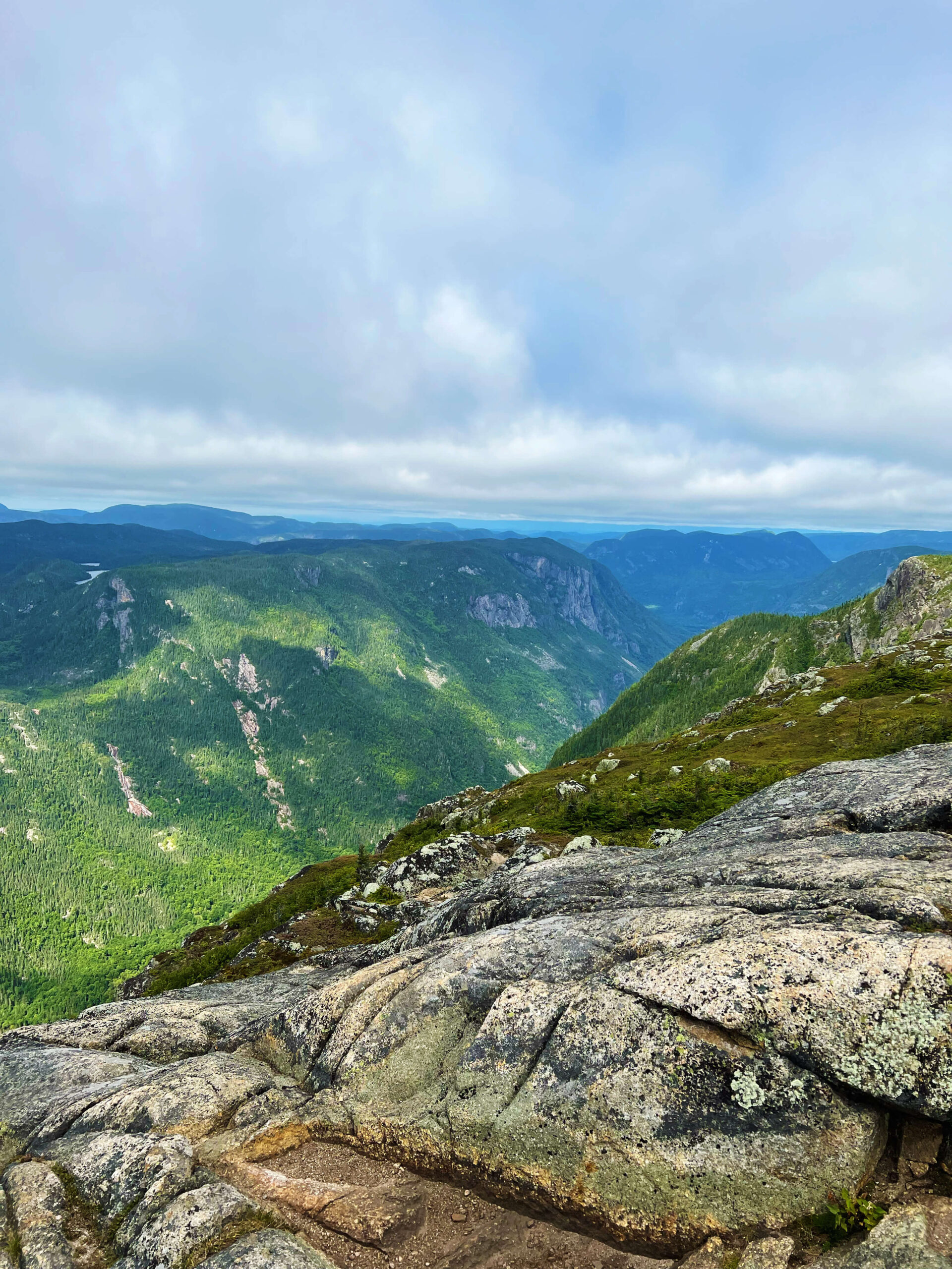 acropole des draveurs