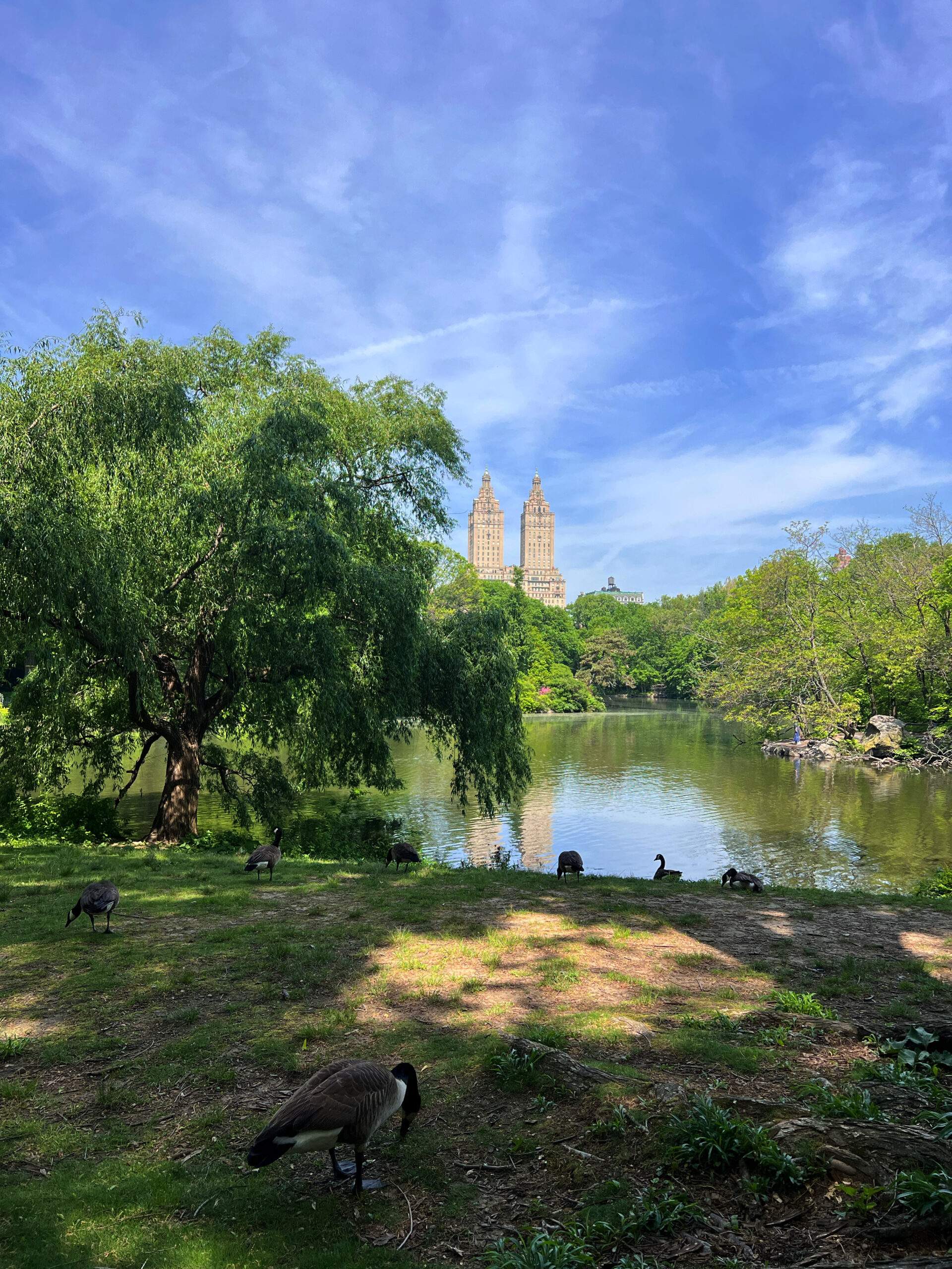 new-york-central-park-decouverte-nature