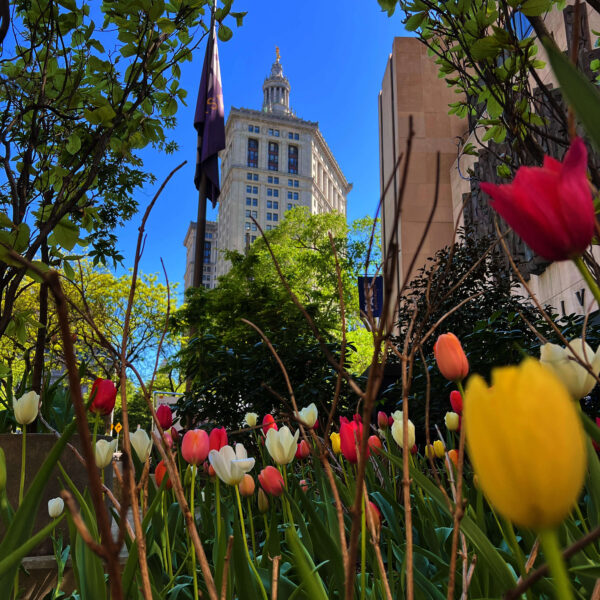 new york-états-unis-roadtrip