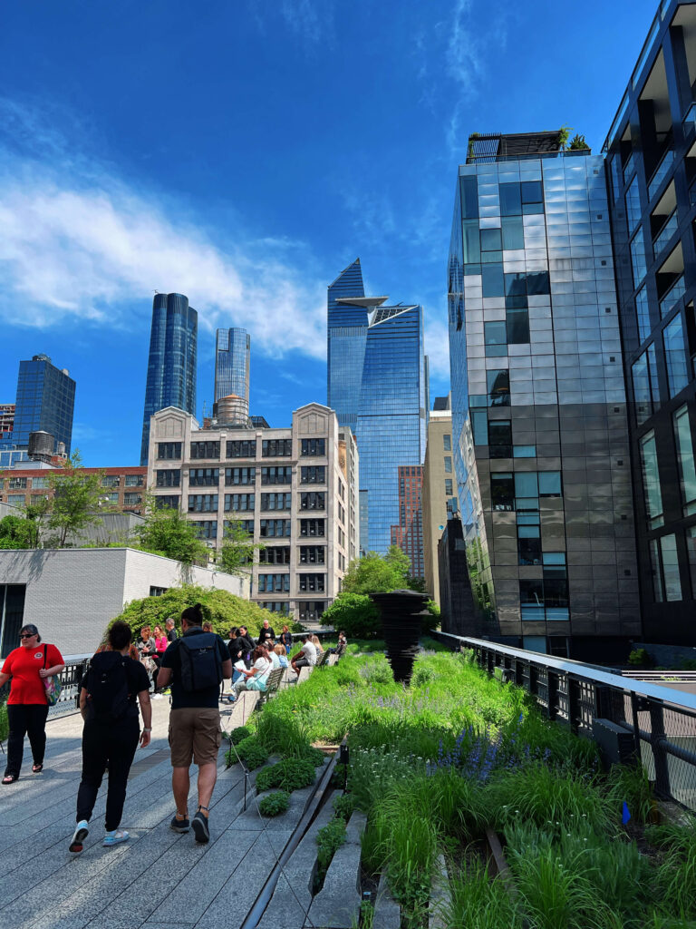 Découvrez une oasis urbaine au cœur de New York sur la High Line