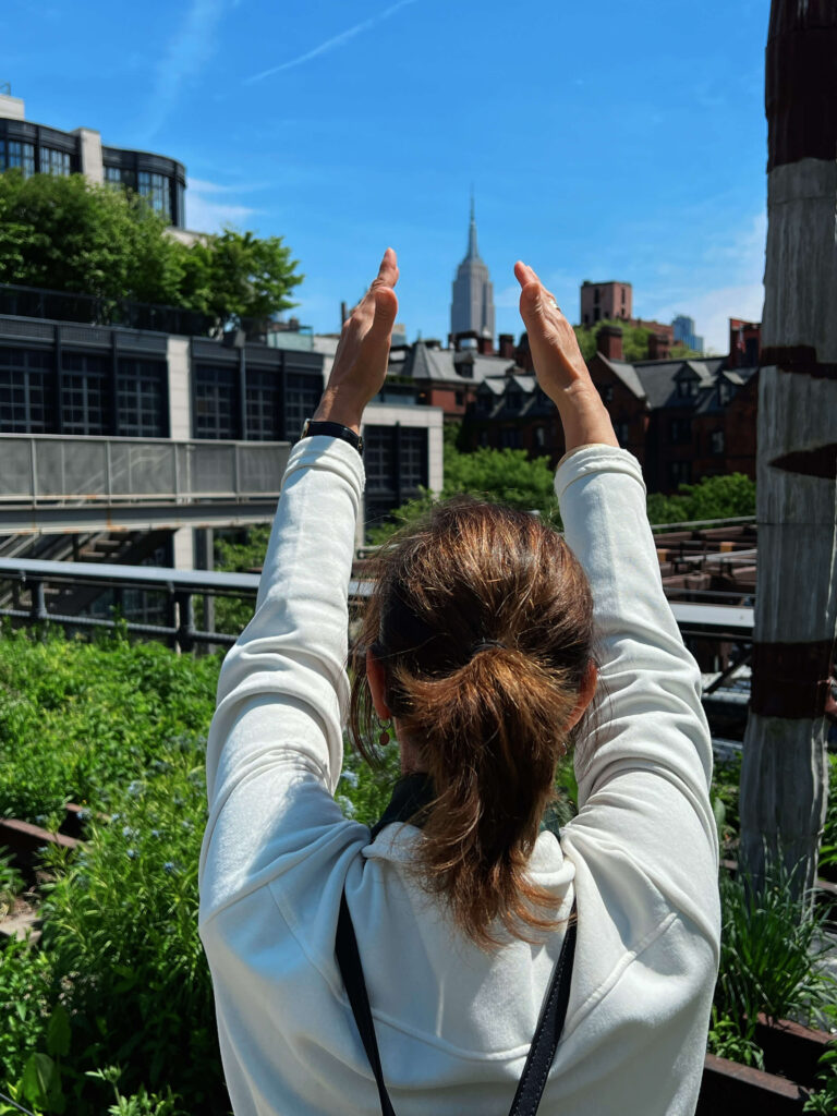 Promenade verdoyante le long de la High Line à New York"
