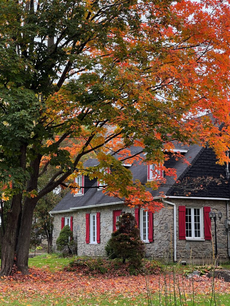 Lire la suite à propos de l’article L’Île d’Orléans au Québec : Un Trésor au Cœur du Saint-Laurent