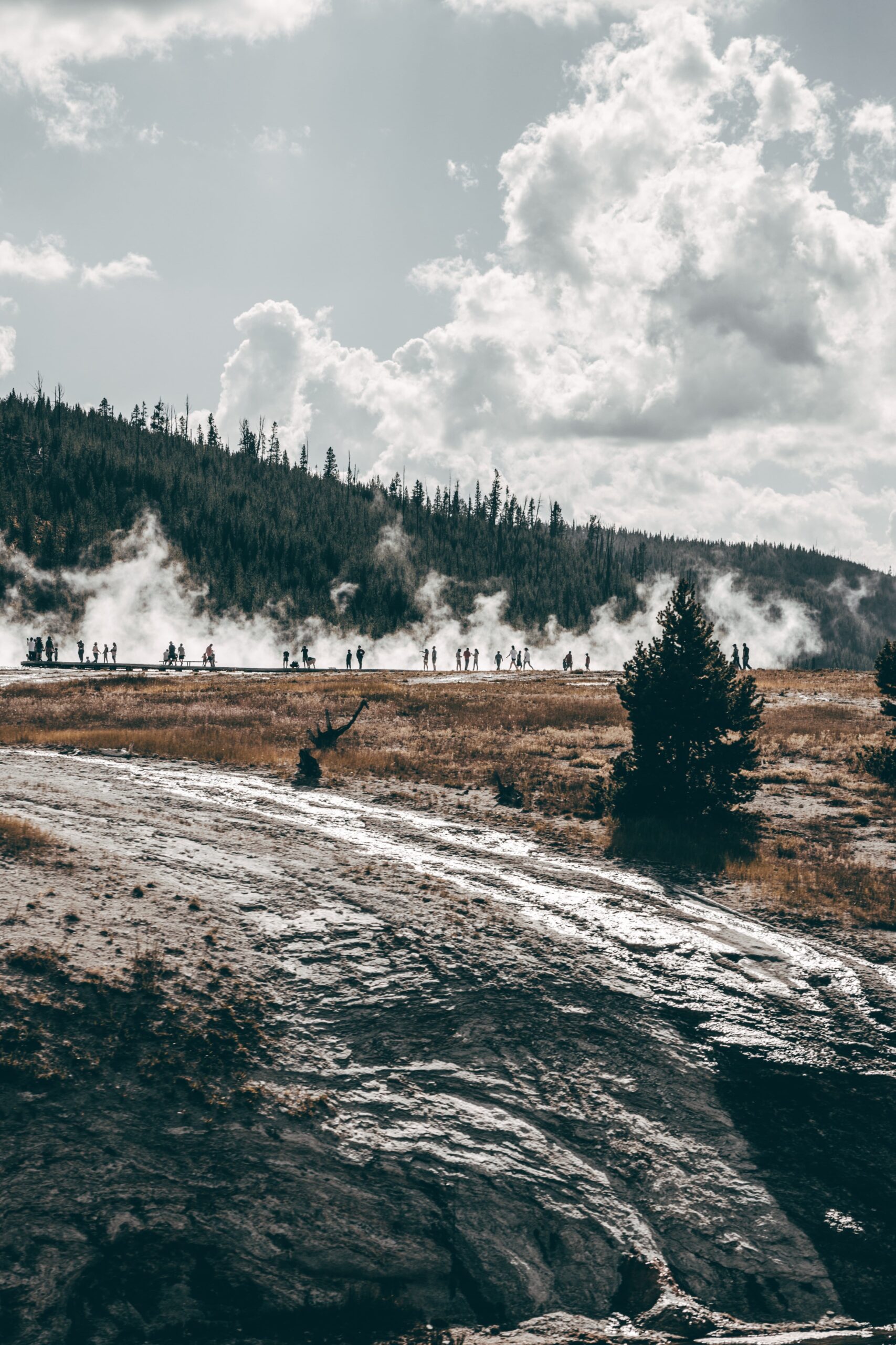 yellowstone national park
