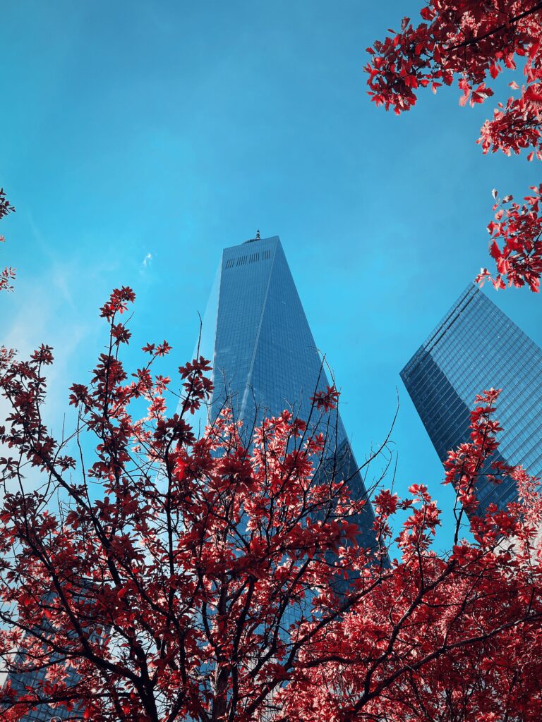 Lire la suite à propos de l’article One World Trade Center : Symbole de Résilience et d’Élégance à Manhattan