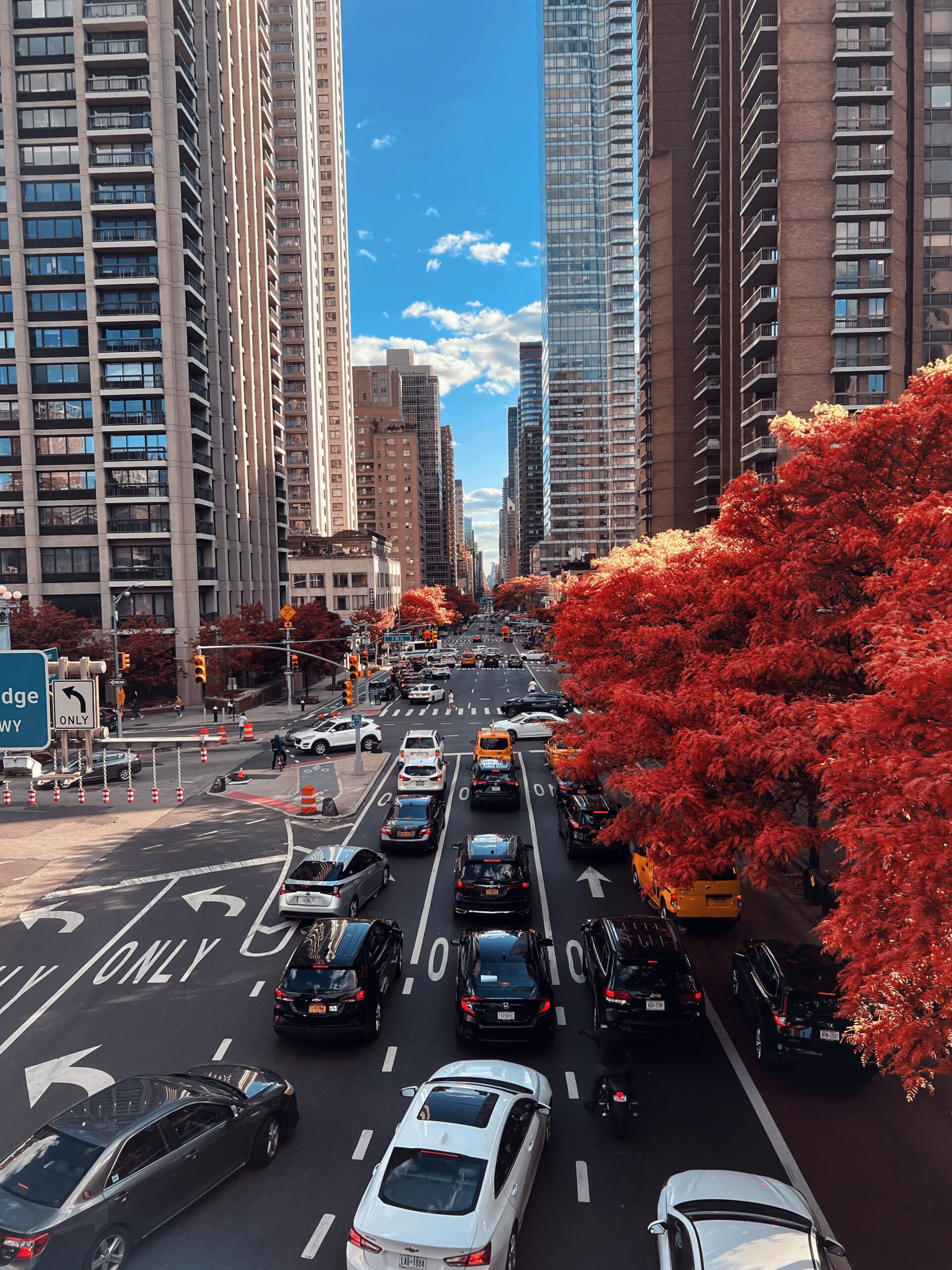 roosevelt island new york