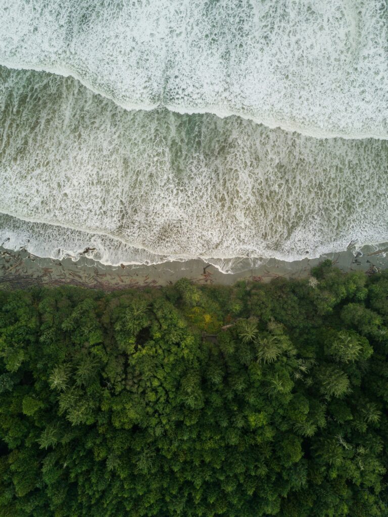 pacific rim national park