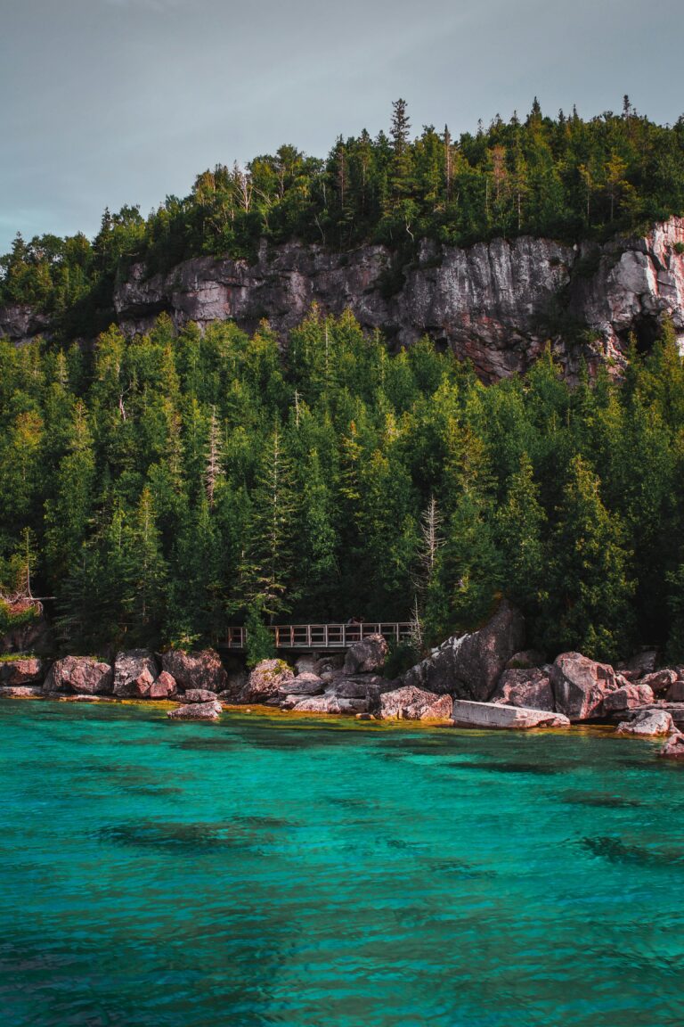 Lire la suite à propos de l’article Tobermory, Ontario : Un Paradis Naturel à Découvrir