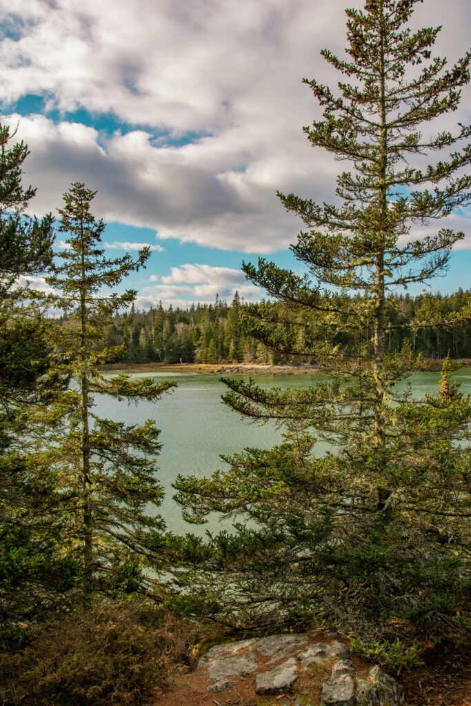 parc national acadia maine